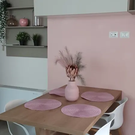 Il Tucano Toco